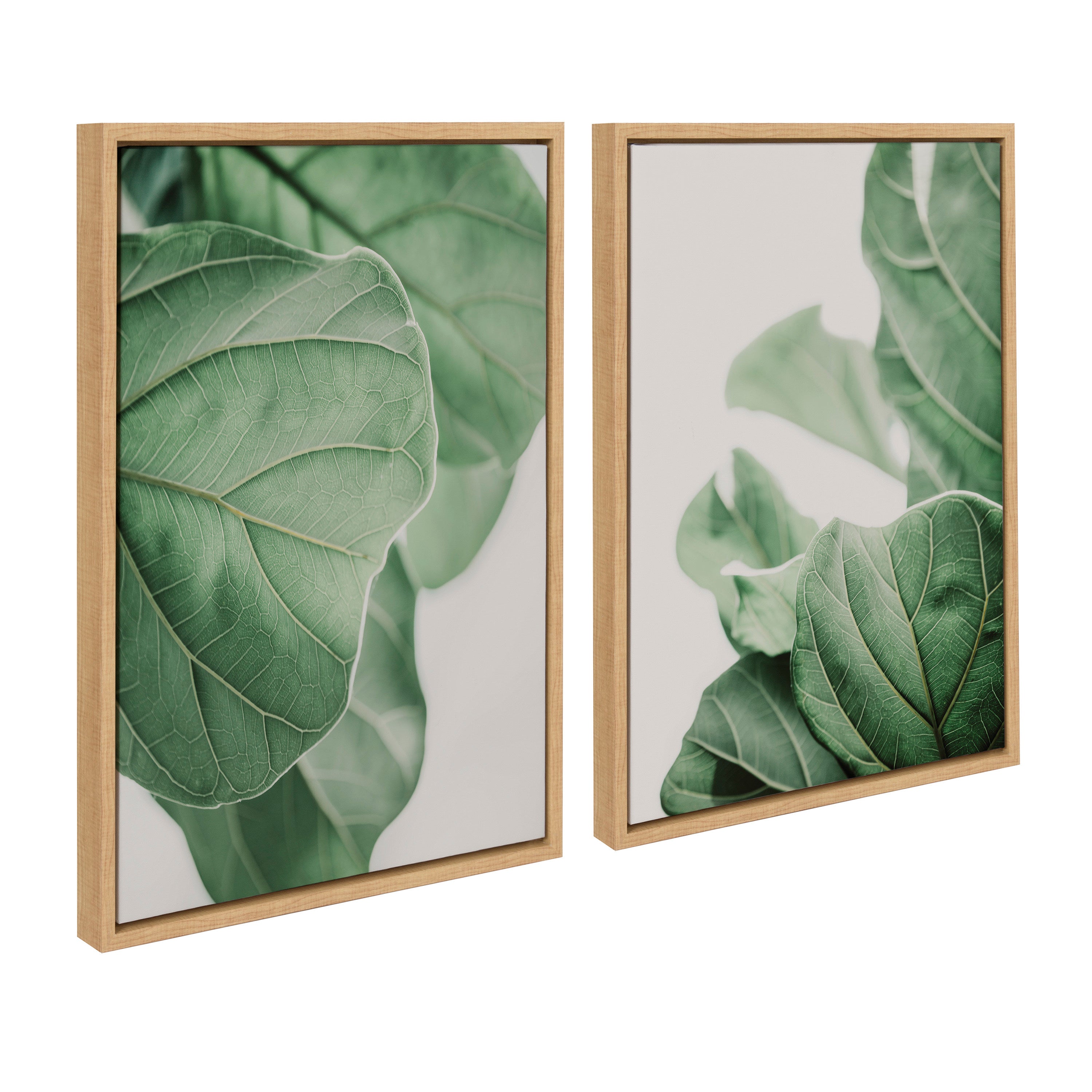 Sylvie Plant Study 6 and Plant Study 7 Framed Canvas Set by Alicia Abla by kateandlaurel - product image 8 for Resin Society