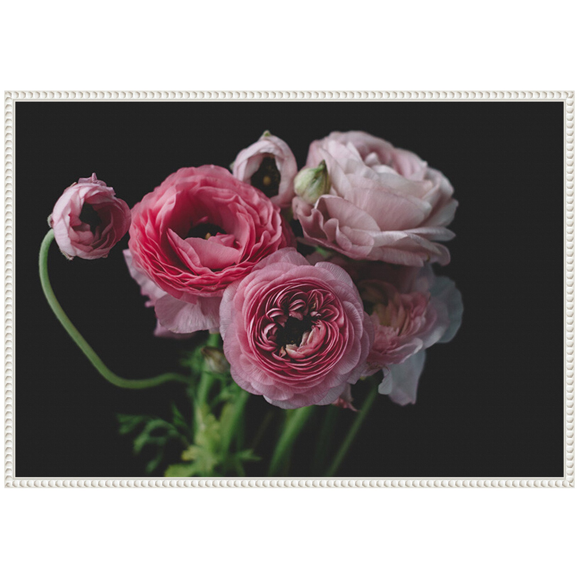 Sylvie Mood Dark Pink Ranunculus Flower Bouquet Framed Canvas by Kristy Campbell