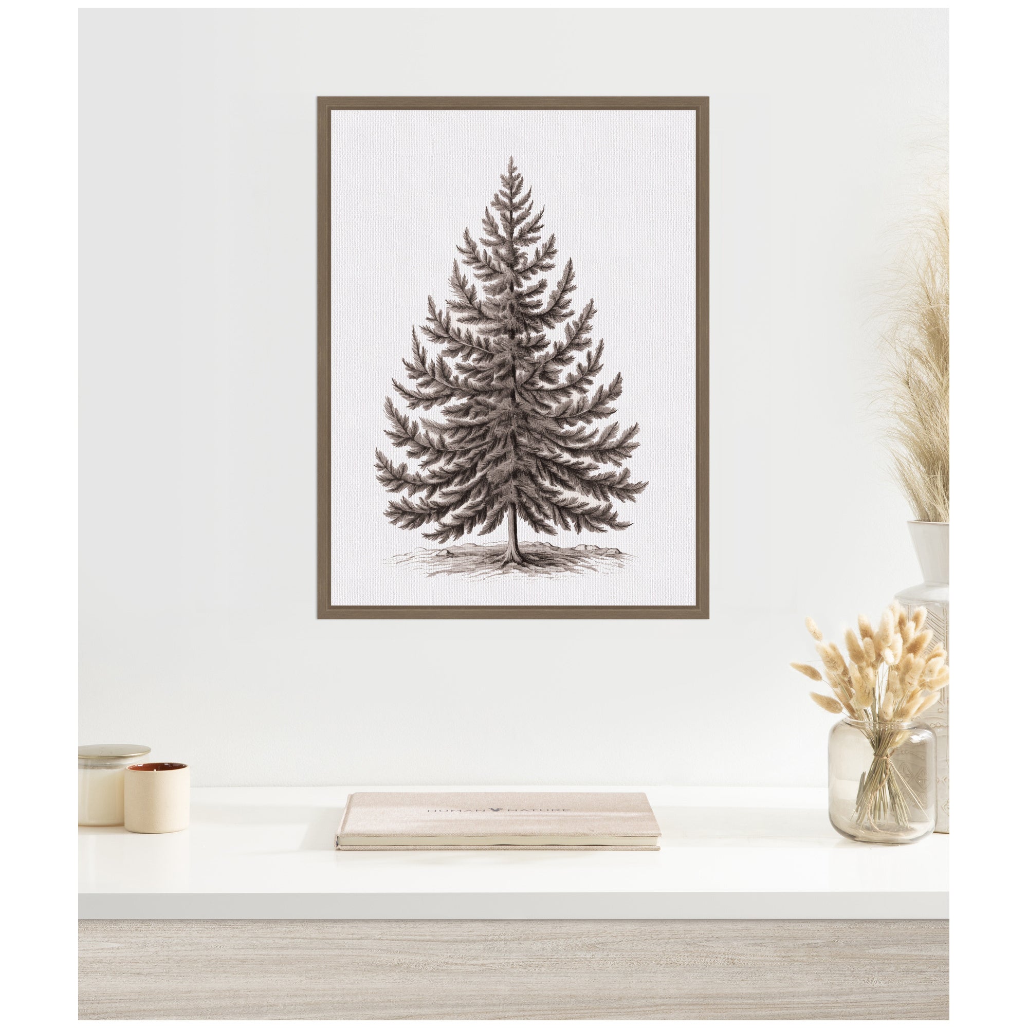 Sylvie Framed Canvas Vintage Evergreen Fir Tree Illustration I