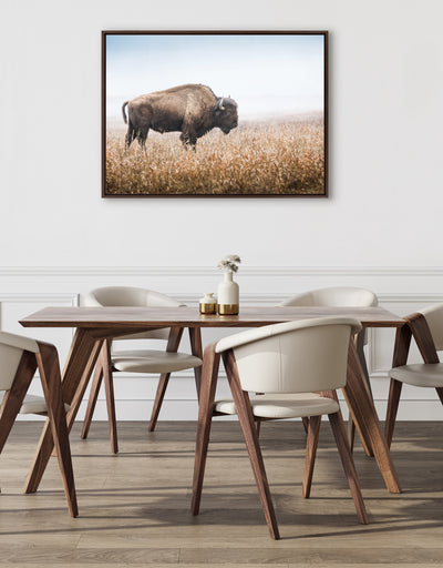 Sylvie American Bison Buffalo in Prairie Grass Framed Canvas by Warren Metcalf