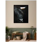Close-up portrait of a black Highland cow with long fur and one visible horn against a dark background, hung above a wooden bench in a muted green and beige room.