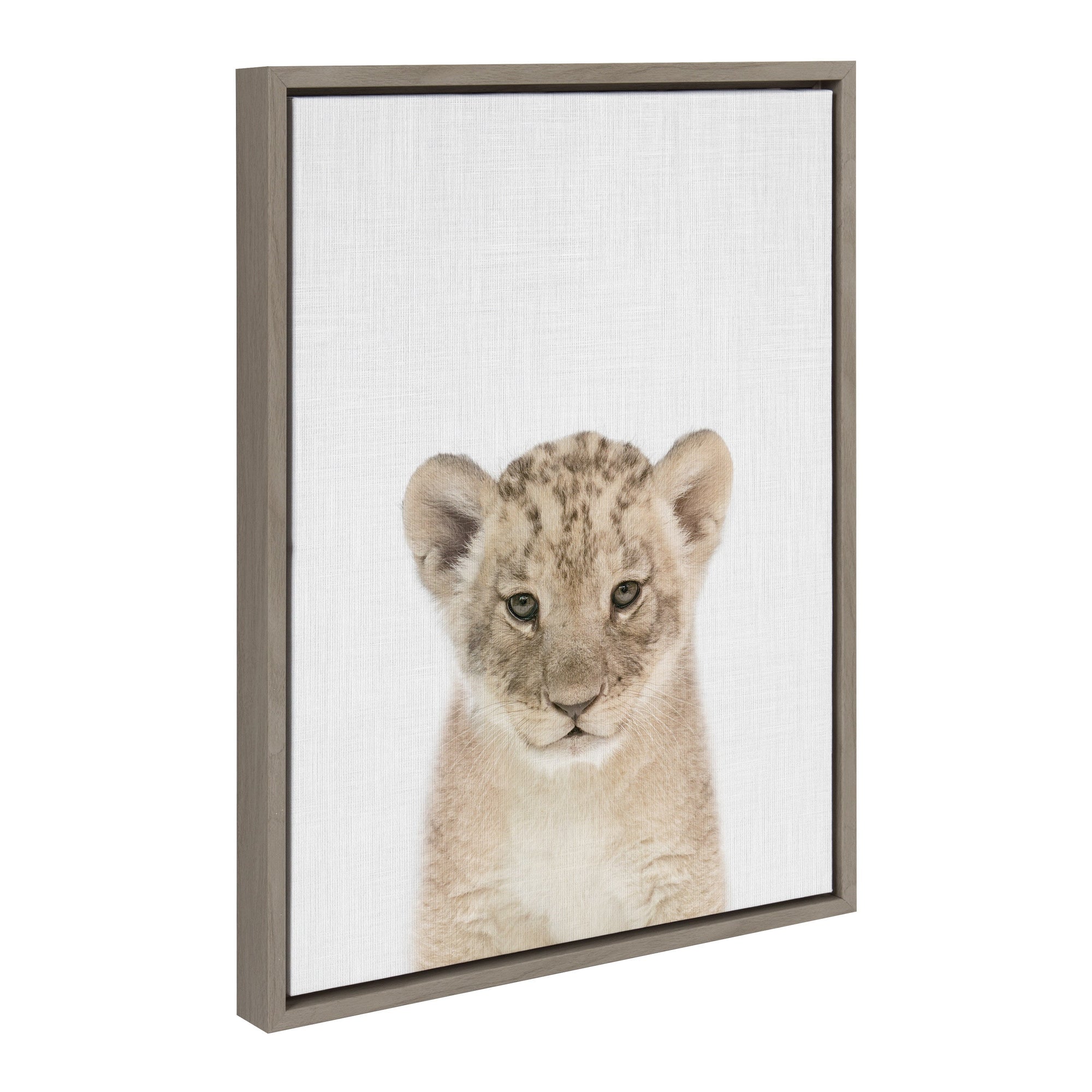 Sylvie Baby Lion Color Framed Canvas by kateandlaurel - main product image for Resin Society