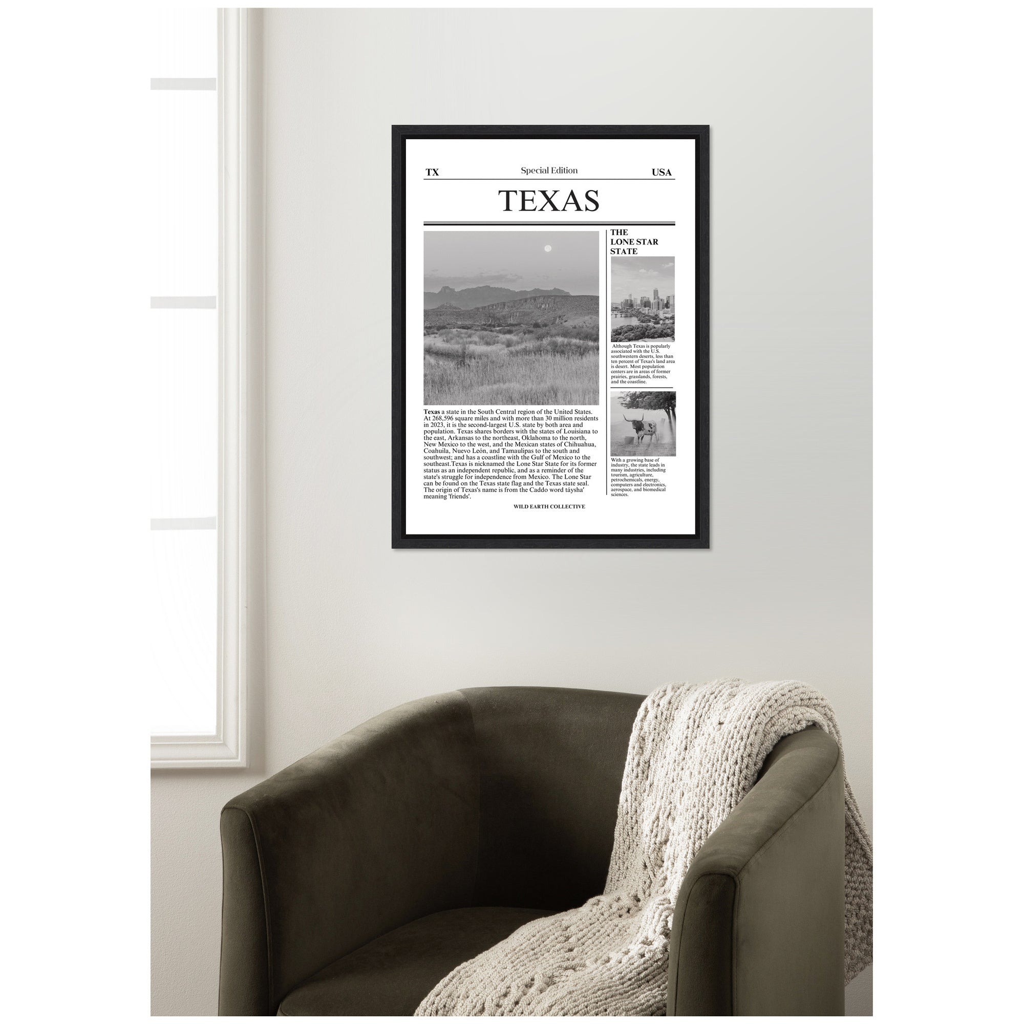 Texas Article by Megan Ryan Framed Canvas Wall Art Print