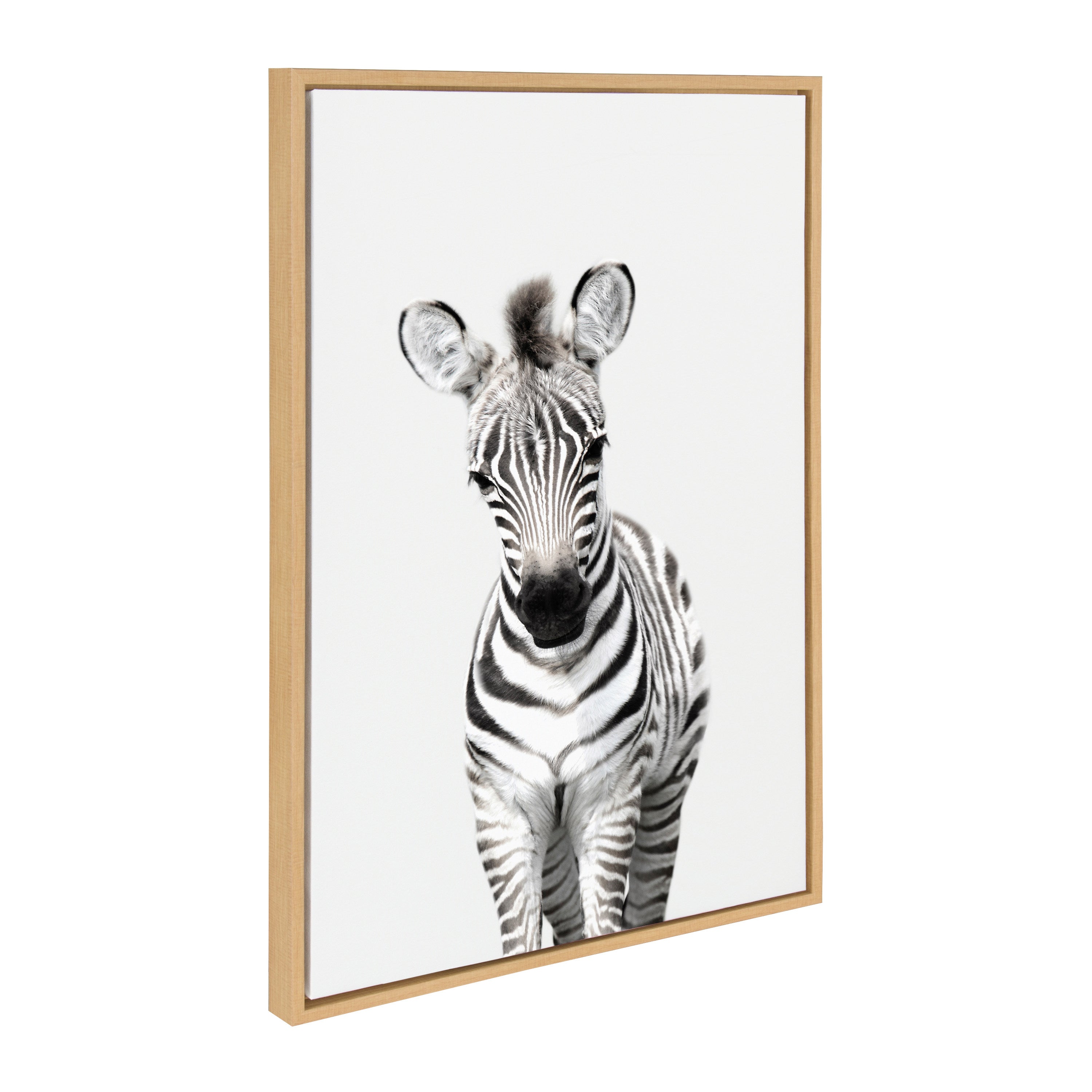 Sylvie Baby Zebra Framed Canvas by Amy Peterson by kateandlaurel - product image 8 for Resin Society