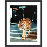A tiger walking across a city street crosswalk at night, illuminated by streetlights against a dark urban background with a lit sign showing 'Fussfitt Rolin'.