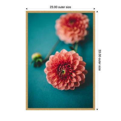 Sylvie Vibrant Pink Dahlia Floral Framed Canvas by Patricia Hasz