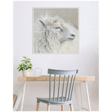 Framed canvas wall art of a close-up portrait of a white sheep with thick, curly wool, hanging above a minimalist wooden desk with a gray chair and a potted plant.