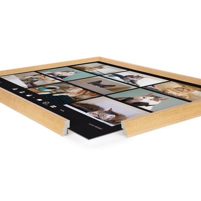 Blake Video Chat Cats Framed Printed Glass by The Creative Bunch Studio by kateandlaurel - product image 3 for Resin Society