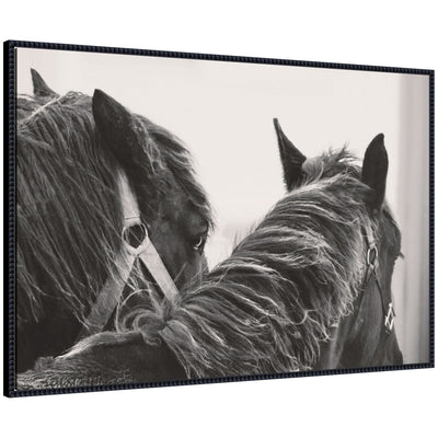 Black Horses framed canvas wall art showing two black horses side by side in a rustic farmhouse style frame