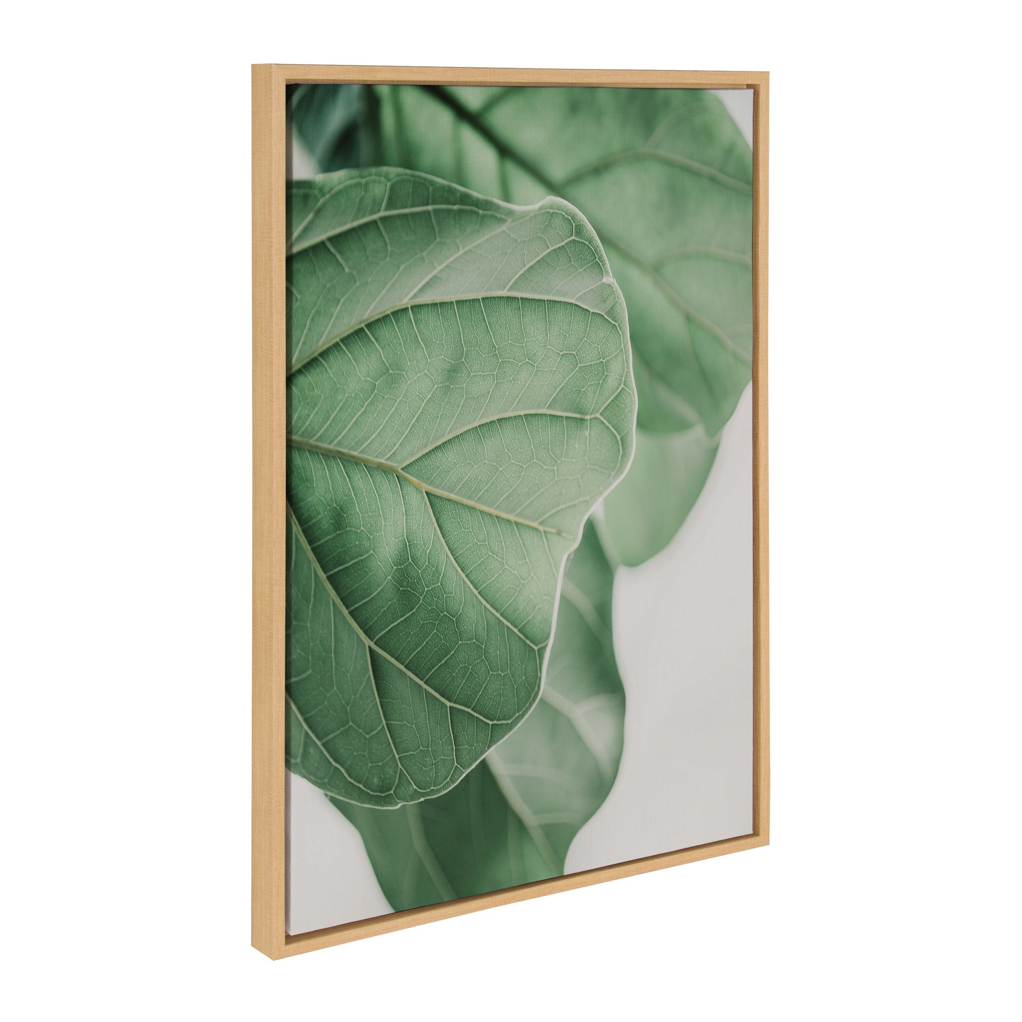 Sylvie Plant Study 6 Framed Canvas by kateandlaurel - main product image for Resin Society