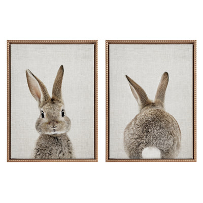Sylvie Bunny Portrait and Bunny Tail Framed Canvas Art Set by Amy Peterson Art Studio
