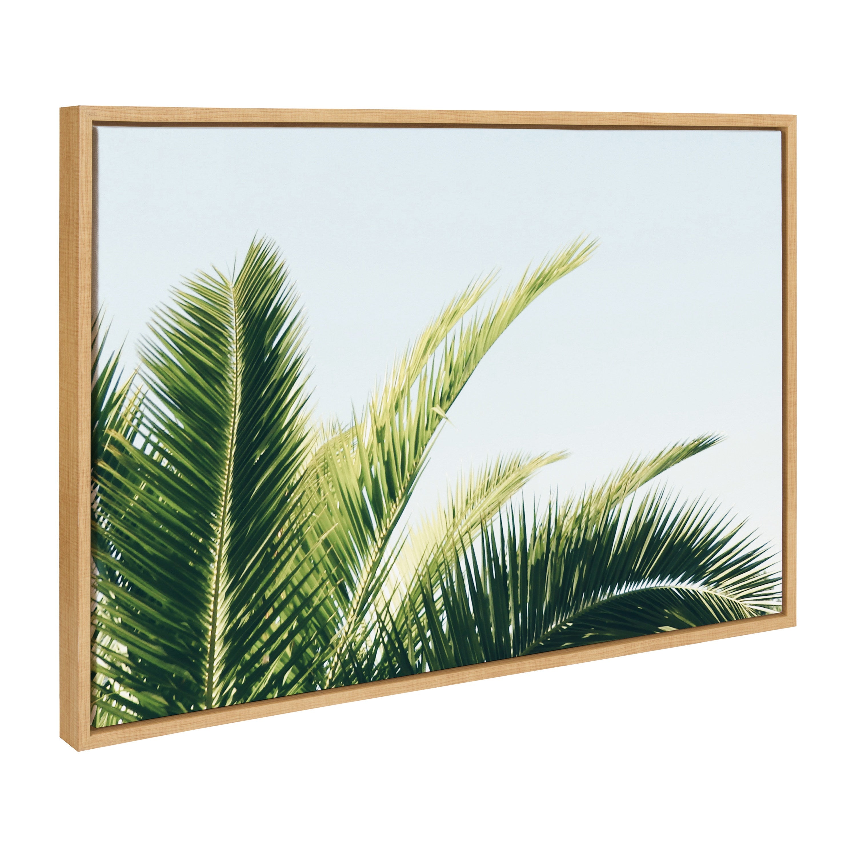 Sylvie Tropical Palm Under Blue Sky Framed Canvas