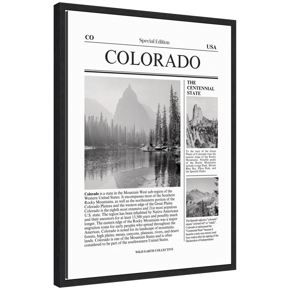 Colorado Article by Megan Ryan framed canvas wall art print in a black Sylvie frame