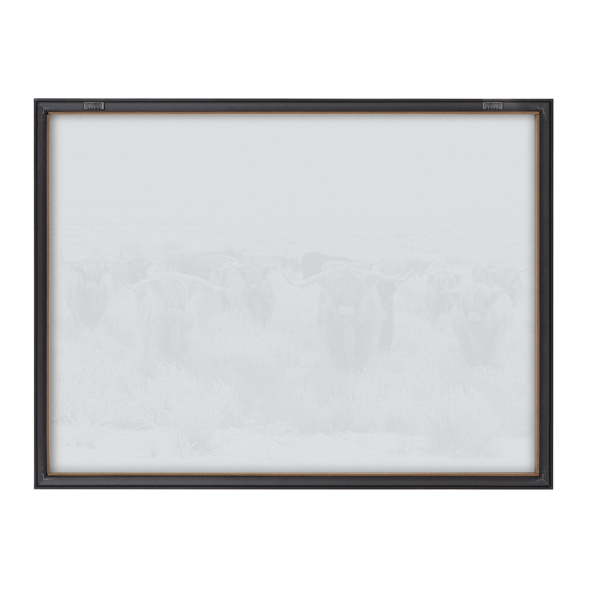 Faint framed artwork showing a herd of Highland cows with long horns and shaggy coats in a misty outdoor setting.