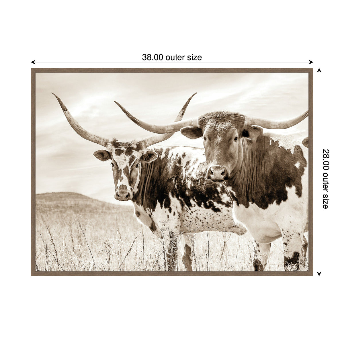 Two Texas Longhorn cattle with large curved horns standing in a grassy pasture under a cloudy sky in sepia tones, framed with outer size markings.