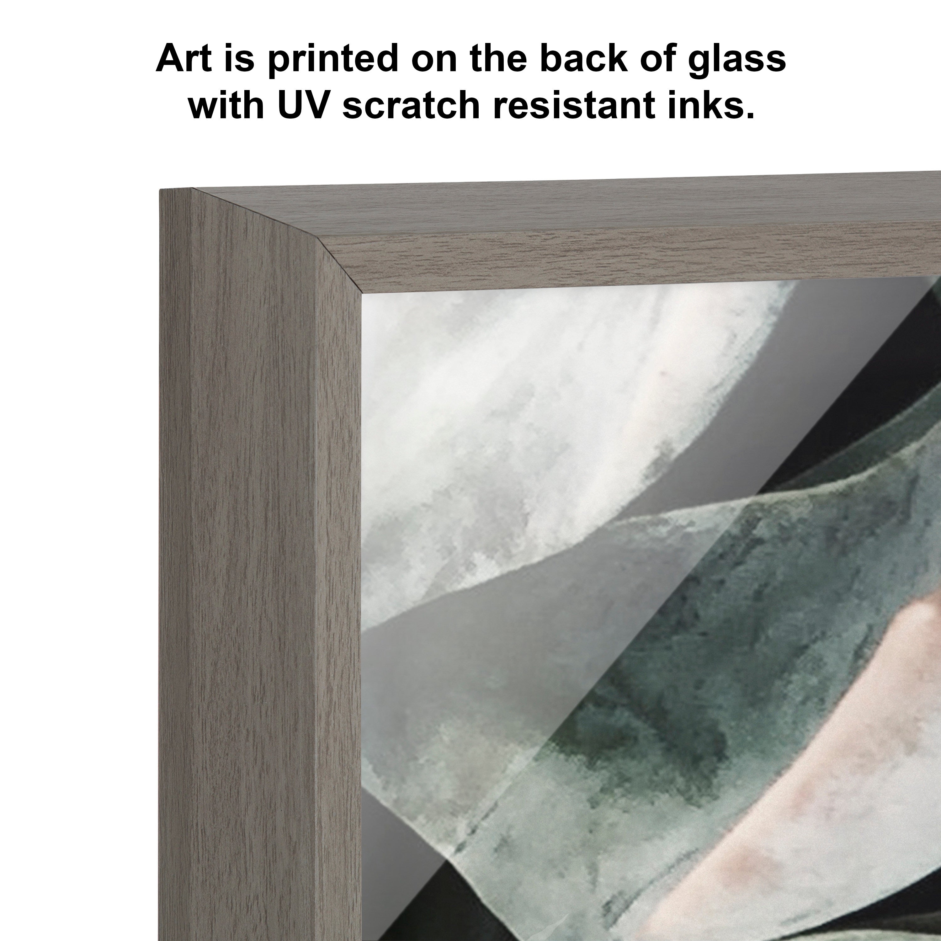 Blake Botanical Succulent Plants 2 Framed Printed Glass by The Creative by kateandlaurel - product image 3 for Resin Society