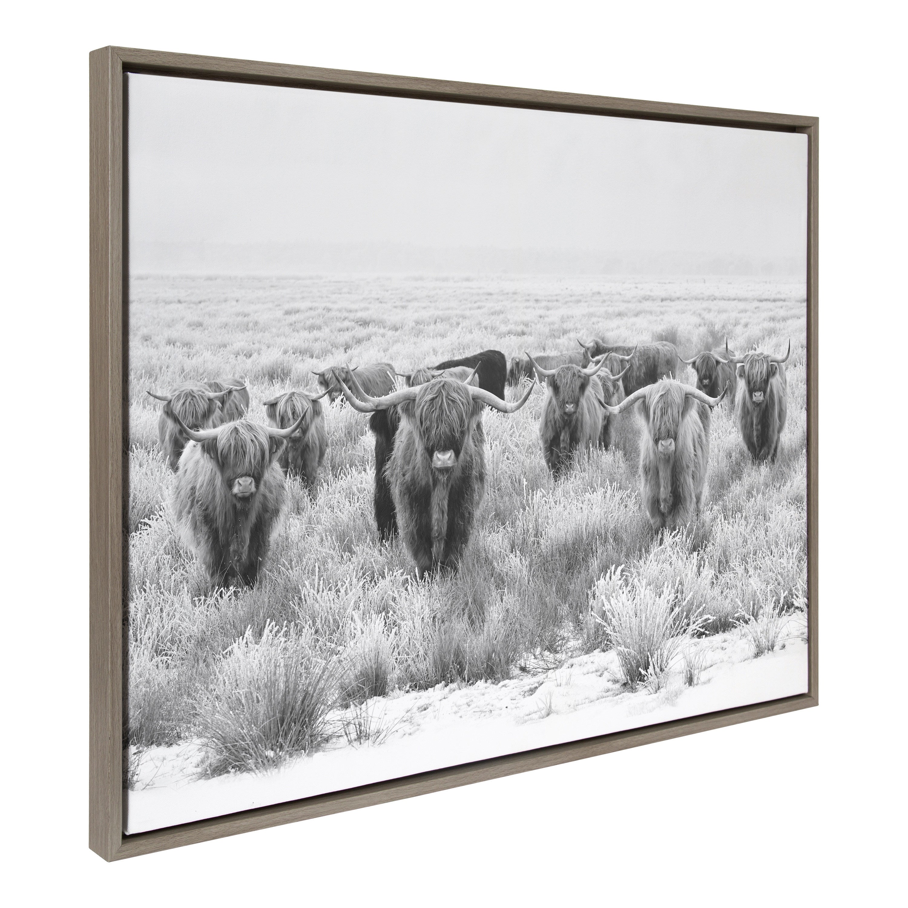 Sylvie Herd of Highland Cows Black and White Framed Canvas by The