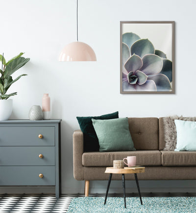 Blake Succulent 5 Framed Printed Glass by kateandlaurel - product image 7 for Resin Society