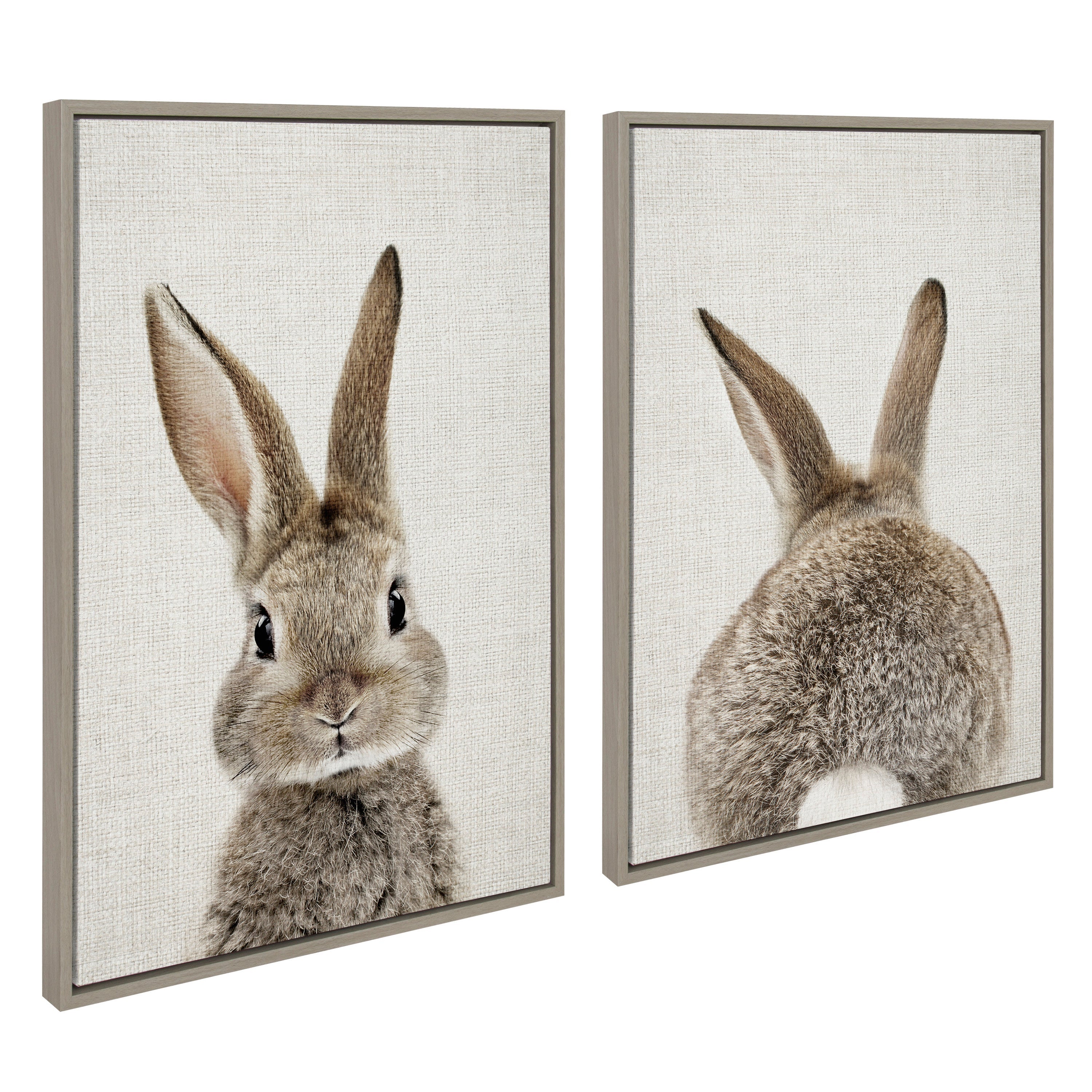 Sylvie Bunny Portrait and Bunny Tail Framed Canvas Art Set by Amy Peterson Art Studio