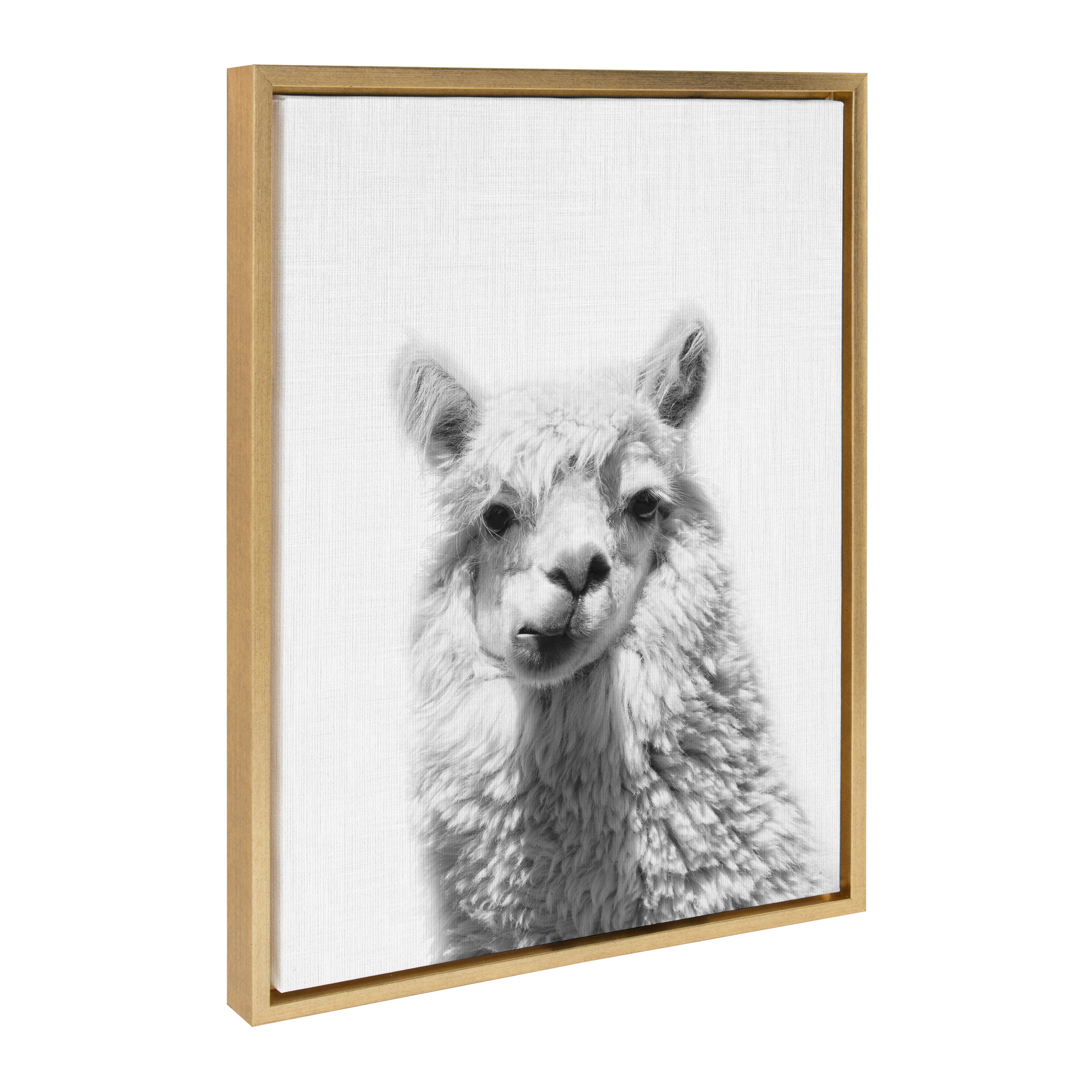Sylvie Alpaca Framed Canvas by Simon Te of Tai Prints
