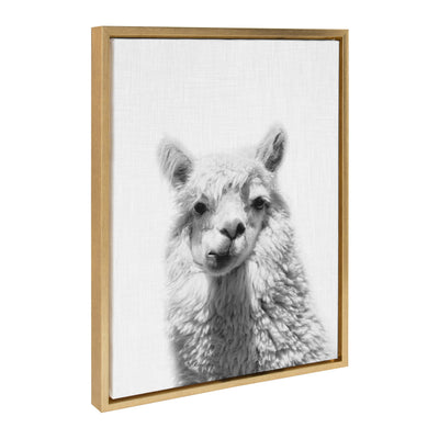 Sylvie Alpaca Framed Canvas by Simon Te of Tai Prints