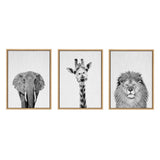 Sylvie Elephant Giraffe and Lion Framed Canvas by kateandlaurel - product image 15 for Resin Society
