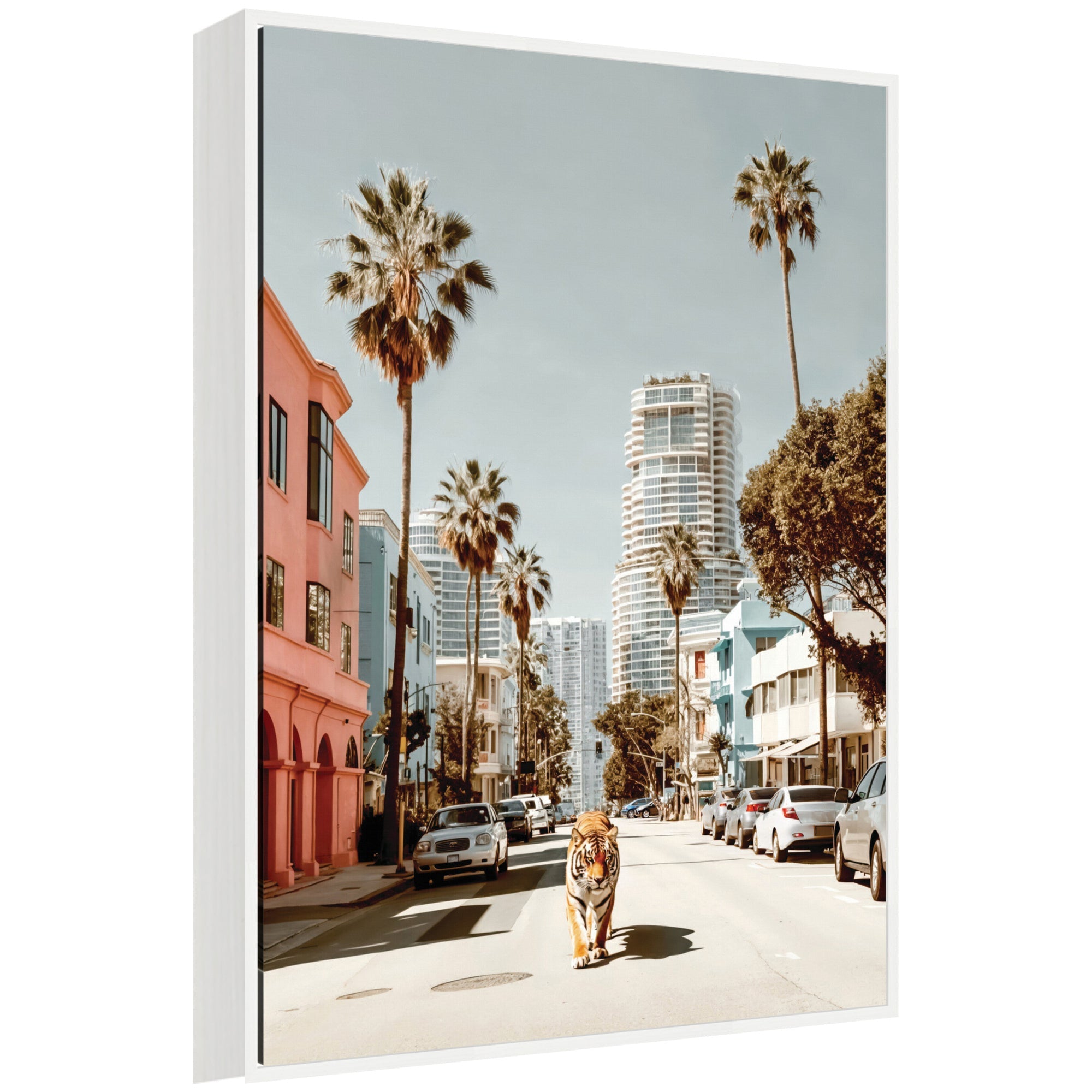 Sylvie California Tiger Roaming through Palm Springs Framed Canvas by Michael Schauer