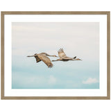 Cranes Flying framed wall art print showing cranes in flight with warm tones and woodgrain stripe mocha frame.