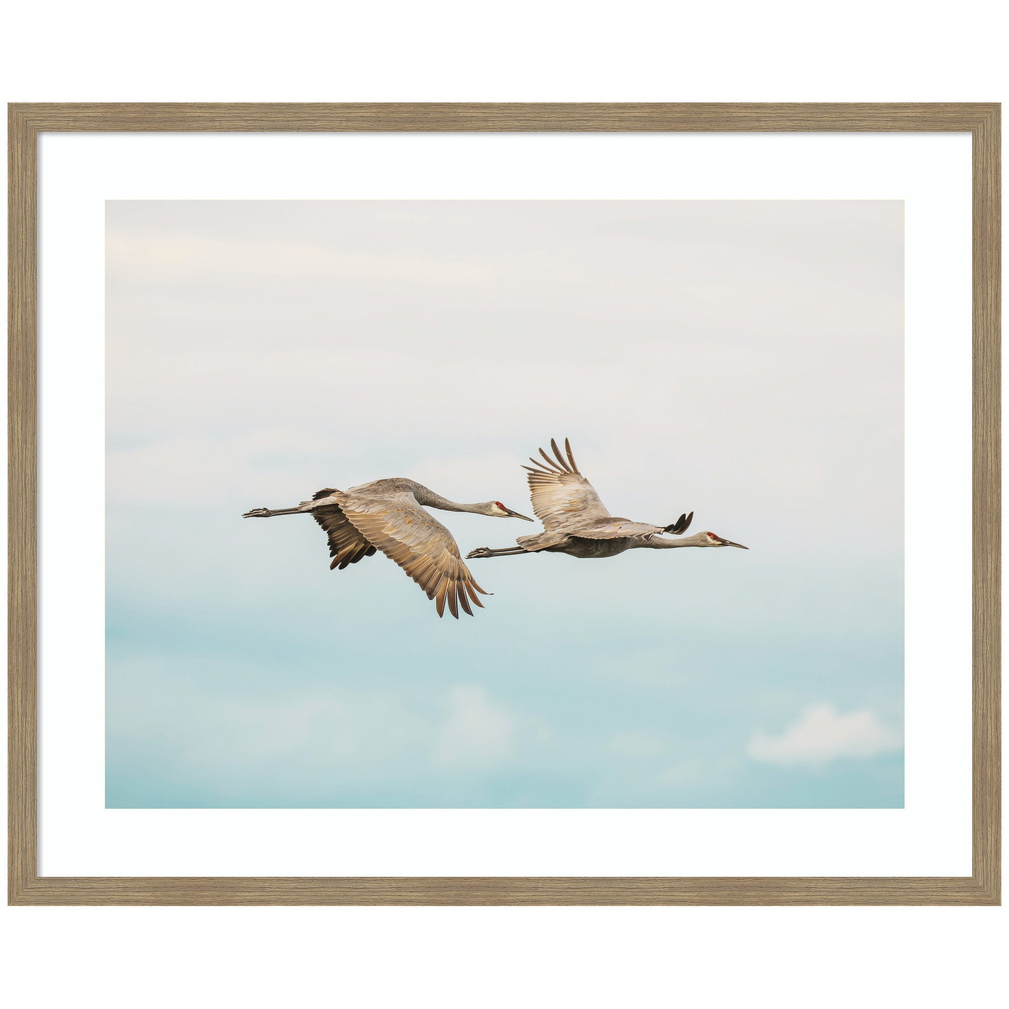 Cranes Flying framed wall art print showing cranes in flight with warm tones and woodgrain stripe mocha frame.