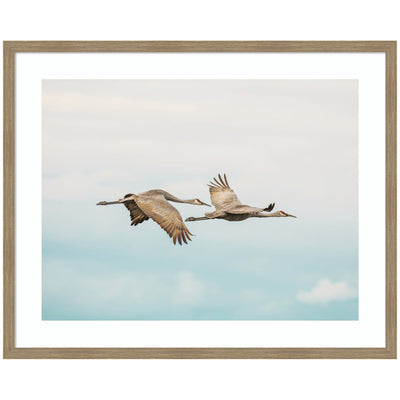 Cranes Flying framed wall art print showing cranes in flight with warm tones and woodgrain stripe mocha frame.