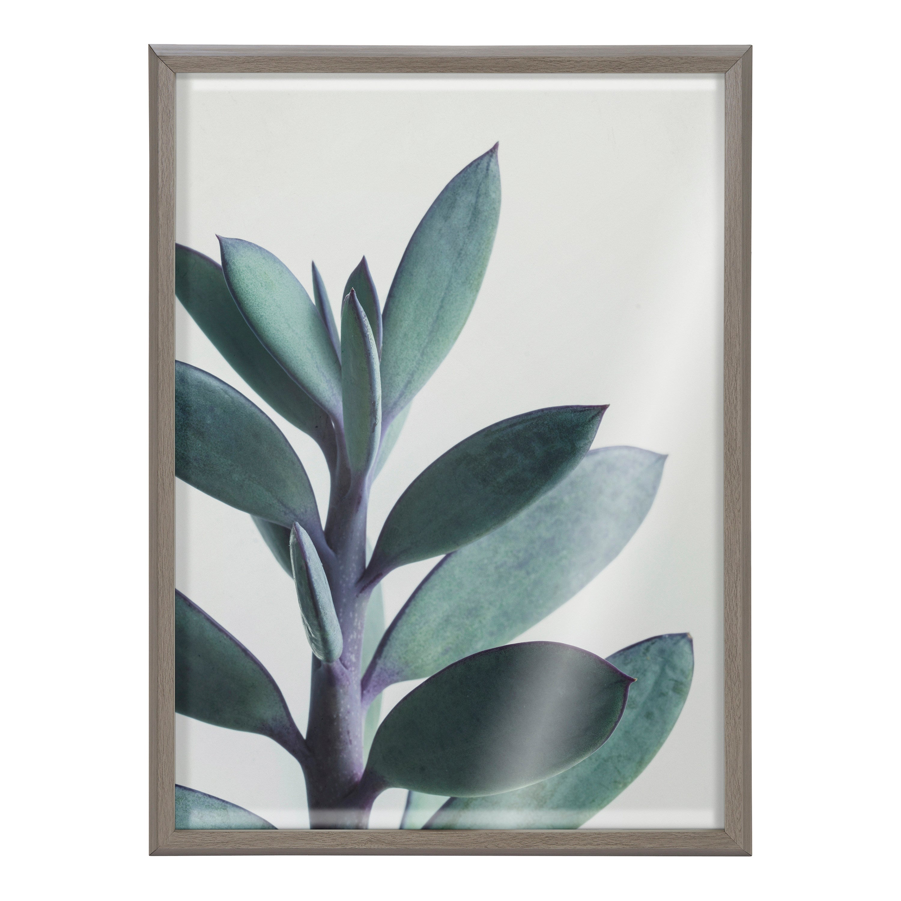 Blake Senecio 1 Framed Printed Glass by kateandlaurel - product image 2 for Resin Society