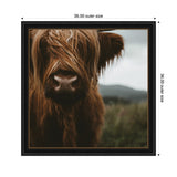 Close-up of a Scottish Highland calf with shaggy brown fur covering its eyes, framed in black with a blurred natural landscape background.