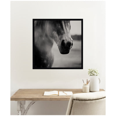Horse Like Velvet by Laura Evans Framed Wall Art Print