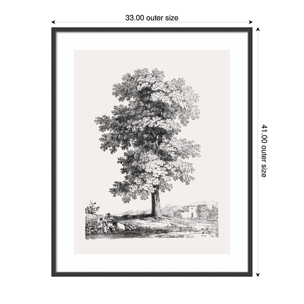 Black and white detailed framed drawing of a tall, leafy tree with a small building and shrubbery in the background, sized 33 by 41 inches.
