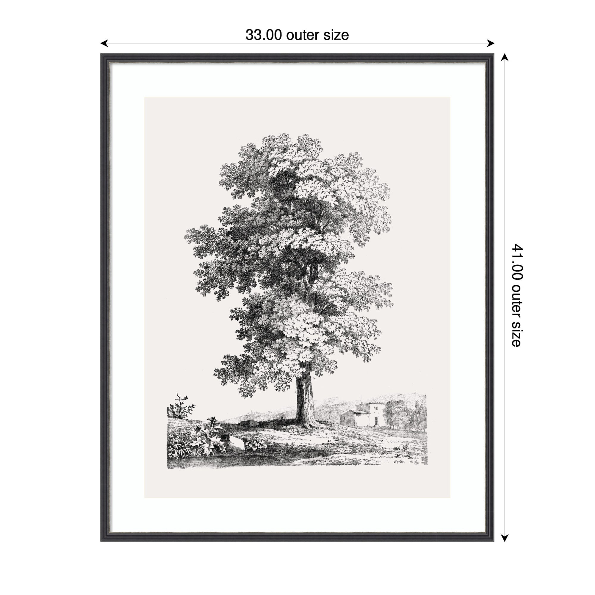 Framed Art Jean Victor Bertin Study of a Tree 1816