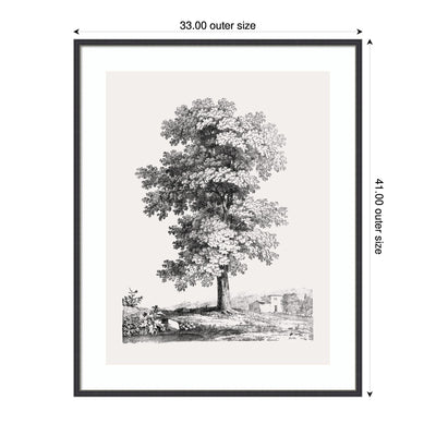 Framed Art Jean Victor Bertin Study of a Tree 1816
