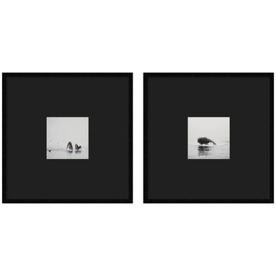Humpback Whale 2 Piece Framed Wall Art Print Set
