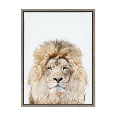 Sylvie Lion Stare Portrait Framed Canvas by Amy Peterson Art Studio