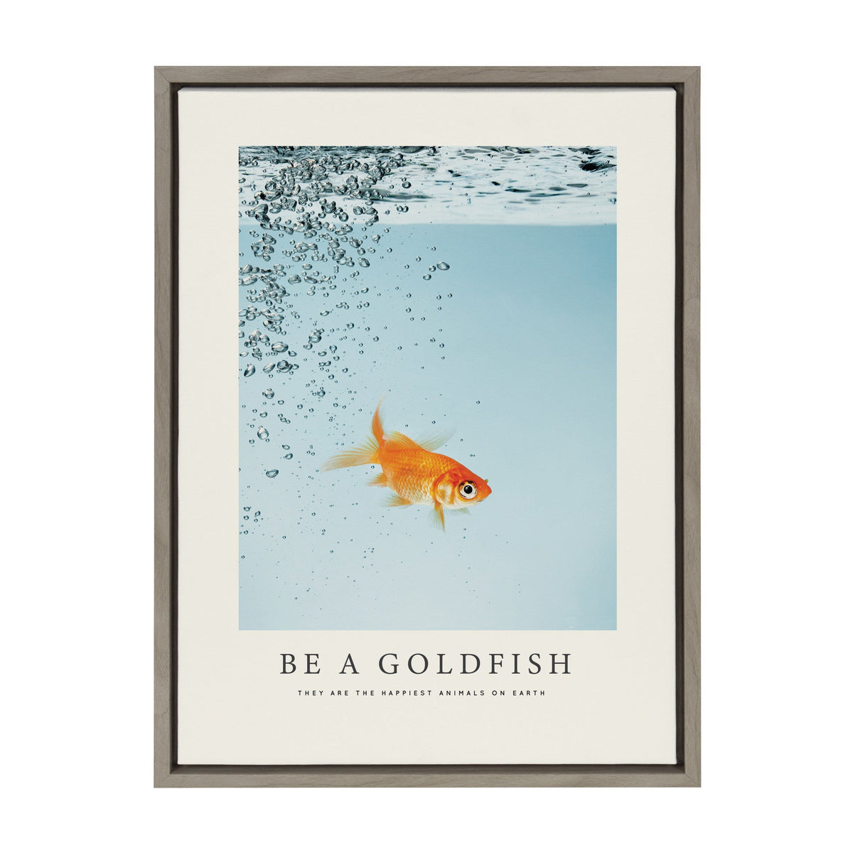 Framed canvas art featuring a single orange goldfish swimming underwater with bubbles rising, captioned 'Be a Goldfish' with a quote beneath on a light blue background.