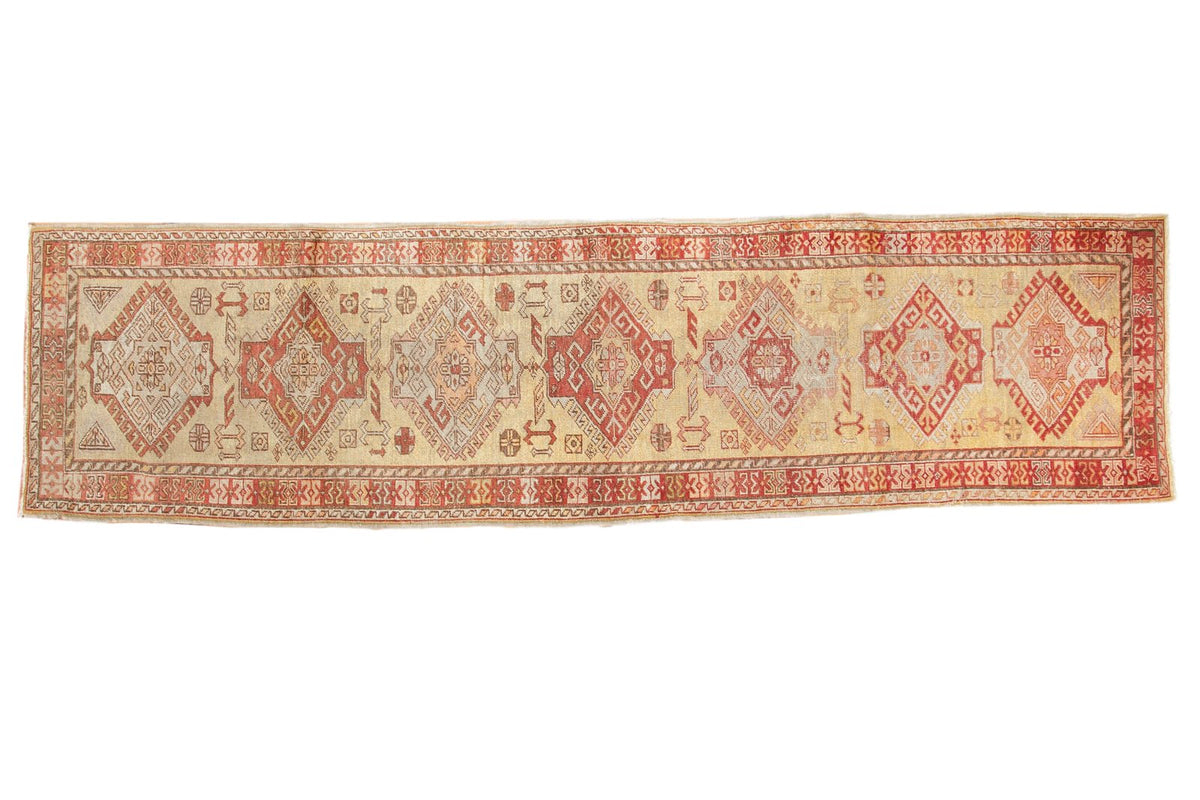 3x11 Vintage Oushak Rug Runner by Old New House® - main product image for Resin Society