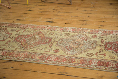 3x11 Vintage Oushak Rug Runner by Old New House® - product image 12 for Resin Society