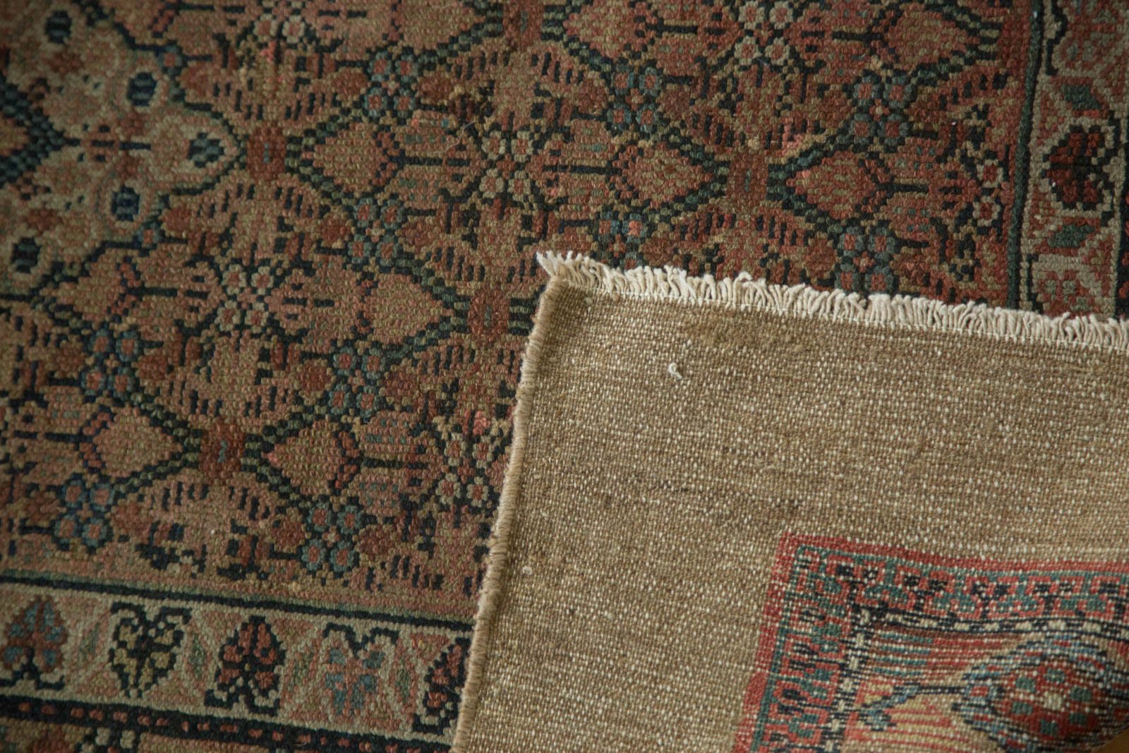 3.5x13.5 Antique Camel Hair Serab Rug Runner by Old New House® - product image 5 for Resin Society