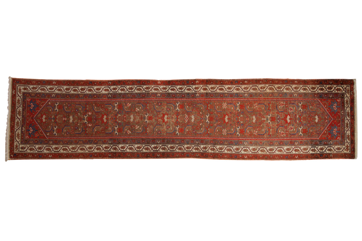 3x14 Antique Malayer Rug Runner by Old New House® - main product image for Resin Society