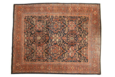 9.5x12 Vintage Mahal Carpet by Old New House® - main product image for Resin Society