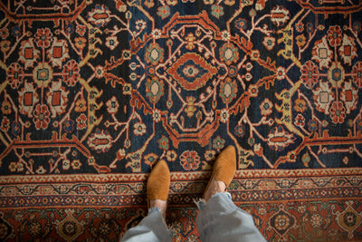 9.5x12 Vintage Mahal Carpet by Old New House® - product image 2 for Resin Society