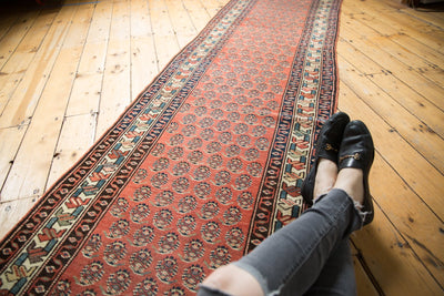3x14.5 Vintage Mir Serbend Rug Runner by Old New House® - product image 2 for Resin Society