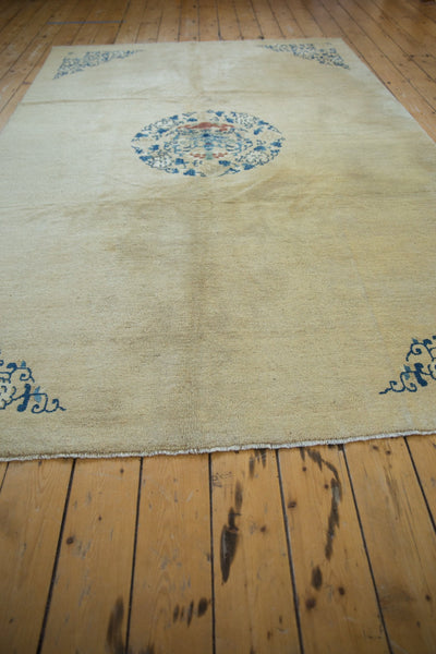 6.5x9.5 Antique Peking Carpet by Old New House® - product image 4 for Resin Society