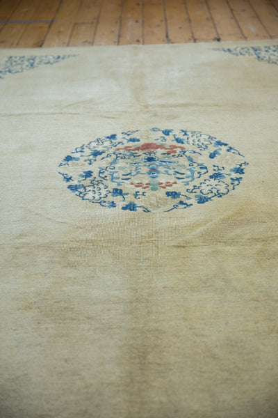 6.5x9.5 Antique Peking Carpet by Old New House® - product image 5 for Resin Society