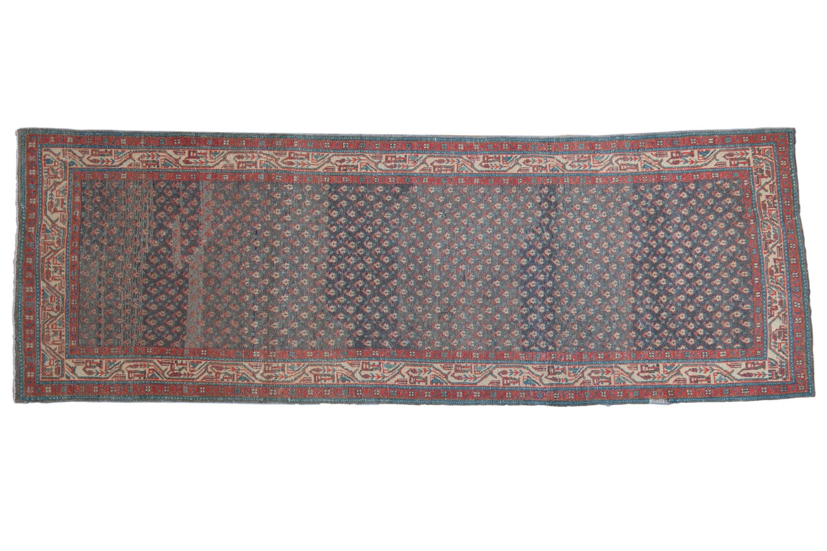 3.5x9.5 Vintage Distressed Serbend Rug Runner by Old New House® - main product image for Resin Society