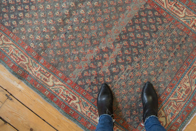 3.5x9.5 Vintage Distressed Serbend Rug Runner by Old New House® - product image 3 for Resin Society